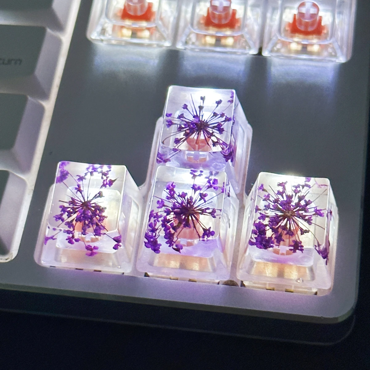 True Flower Drop glue DIY transparent dry spline cap Snow bead flower Mechanical keyboard key cap High quality 1pc
True Flower Drop glue DIY transparent dry spline cap Snow bead flower Mechanical keyboard key cap High quality 1pc