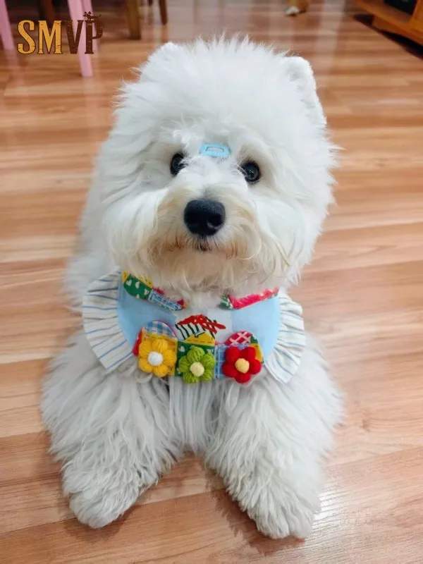 Soft Denim Light Blue Cartoon Bear Print and Wool Knitted Three-dimensional Flower Decoration Pet Cat and Dog Decoration Bib
Soft Denim Light Blue Cartoon Bear Print and Wool Knitted Three-dimensional Flower Decoration Pet Cat and Dog Decoration Bib