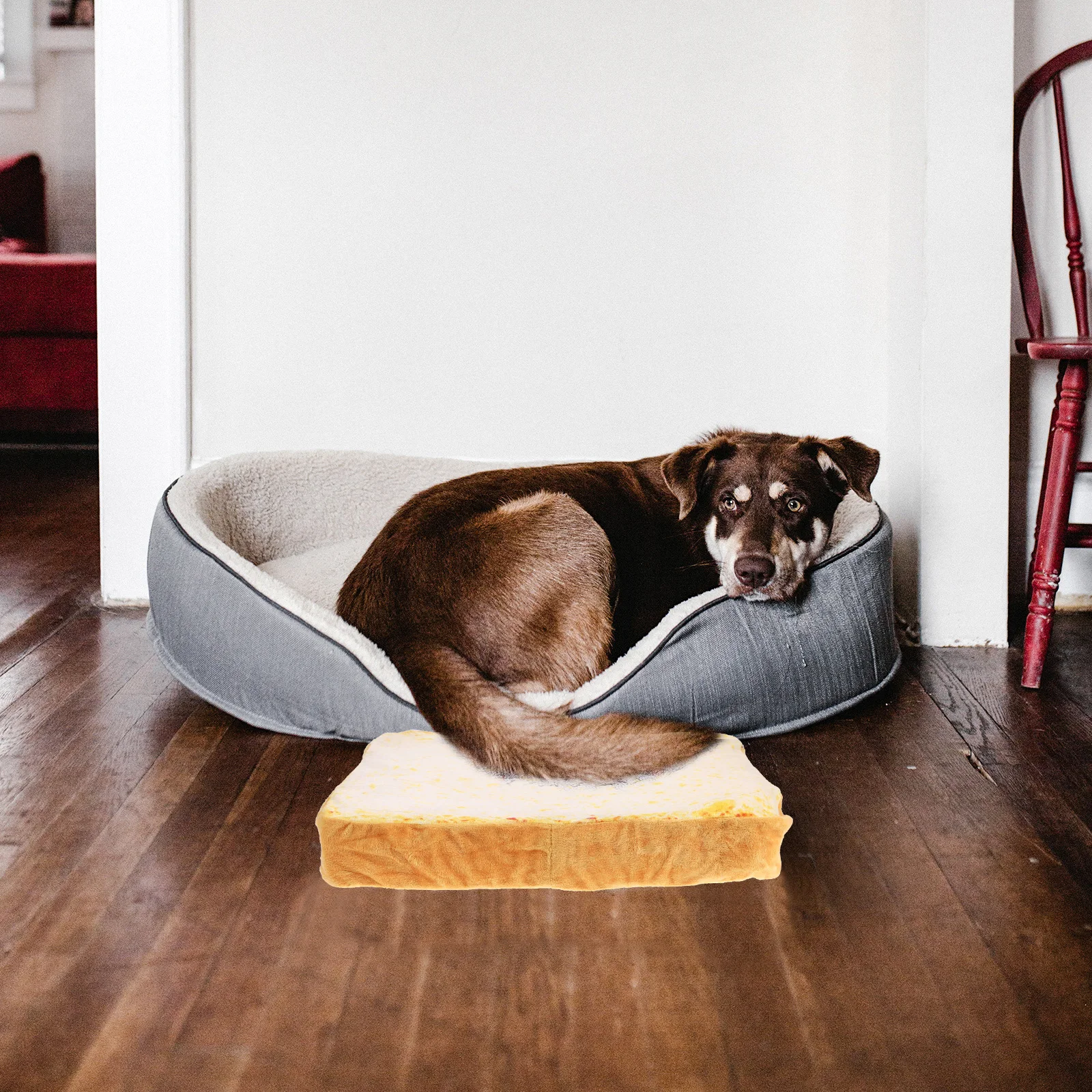 Creative Toast Bread Pet Cat Bed Mattress Cushion Seat Pad for Pet Sleeping Playing Resting 40x40x7cm
Creative Toast Bread Pet Cat Bed Mattress Cushion Seat Pad for Pet Sleeping Playing Resting 40x40x7cm