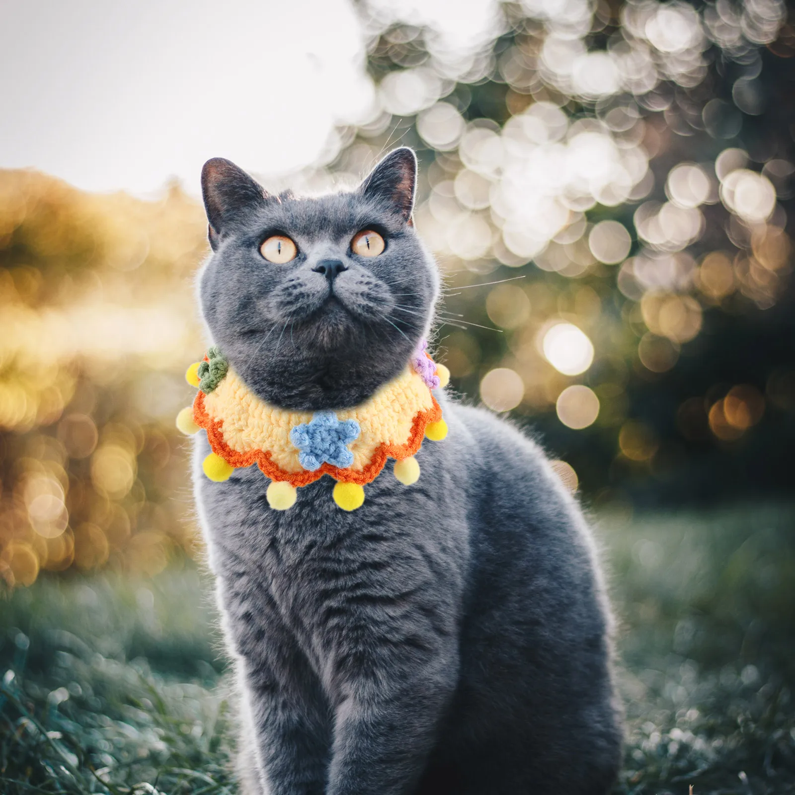 2PCS Pet Collars Cats Dogs Fashion Crochet Adjustable Size Decorative Necklaces Small Animal Accessories Comfortable Material
2PCS Pet Collars Cats Dogs Fashion Crochet Adjustable Size Decorative Necklaces Small Animal Accessories Comfortable Material