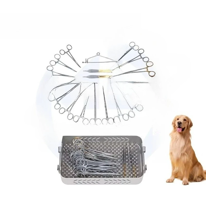 China Manufactured Veterinary Instrument Kit Orthopedic Surgical Instruments with Plate Set for Dental & Veterinary Use
China Manufactured Veterinary Instrument Kit Orthopedic Surgical Instruments with Plate Set for Dental & Veterinary Use
