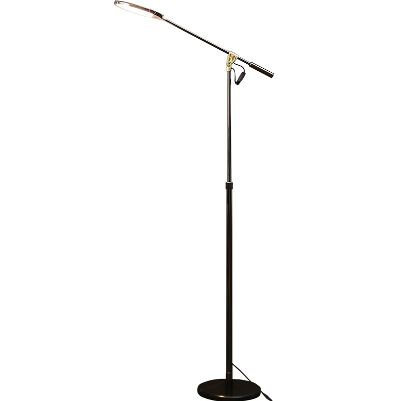 Light luxury living room reading floor eye protection lamp bedroom study work vertical floor lamp
Light luxury living room reading floor eye protection lamp bedroom study work vertical floor lamp