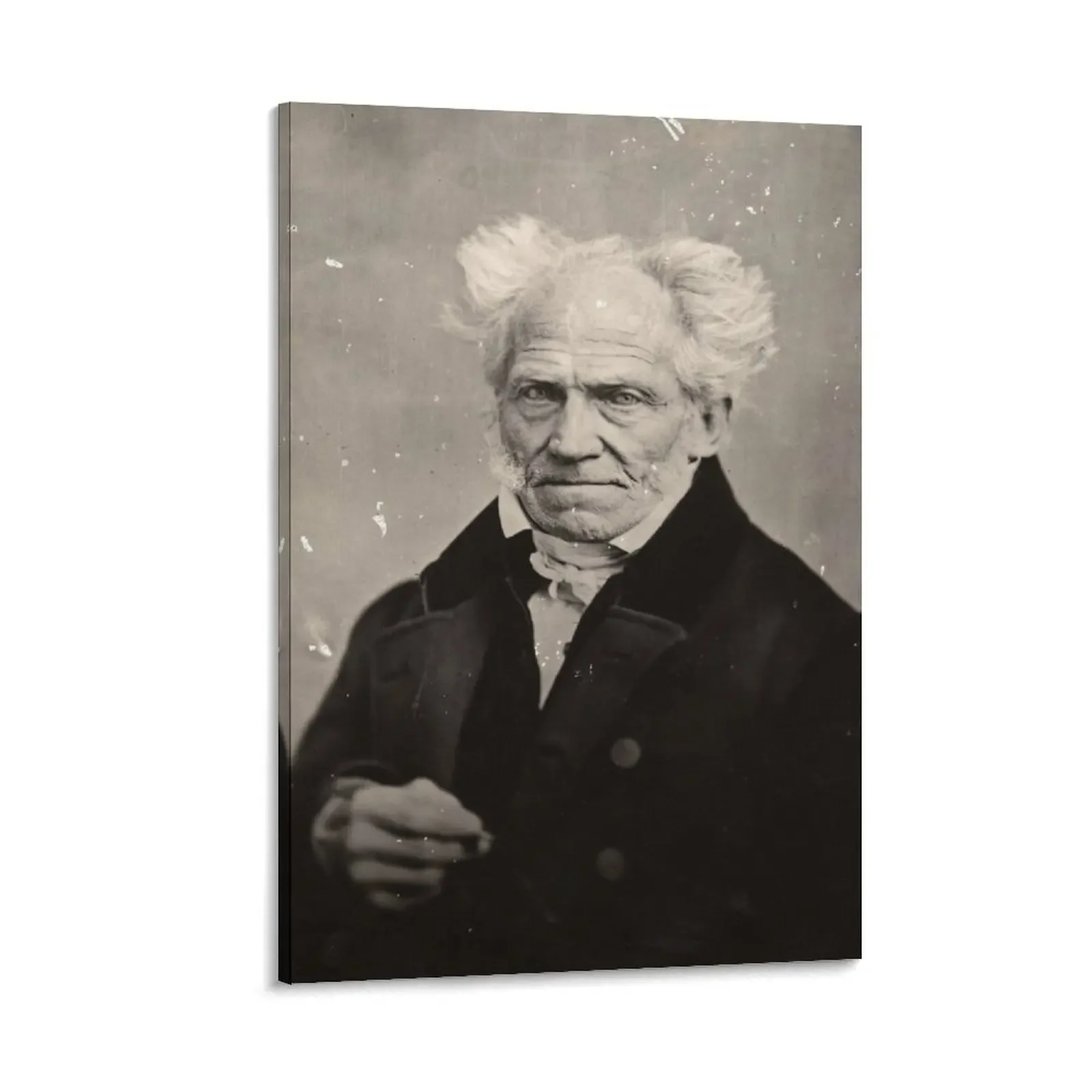 Arthur Schopenhauer Portrait Canvas Painting japanese room decor home decor interior Decorative paintings
Arthur Schopenhauer Portrait Canvas Painting japanese room decor home decor interior Decorative paintings