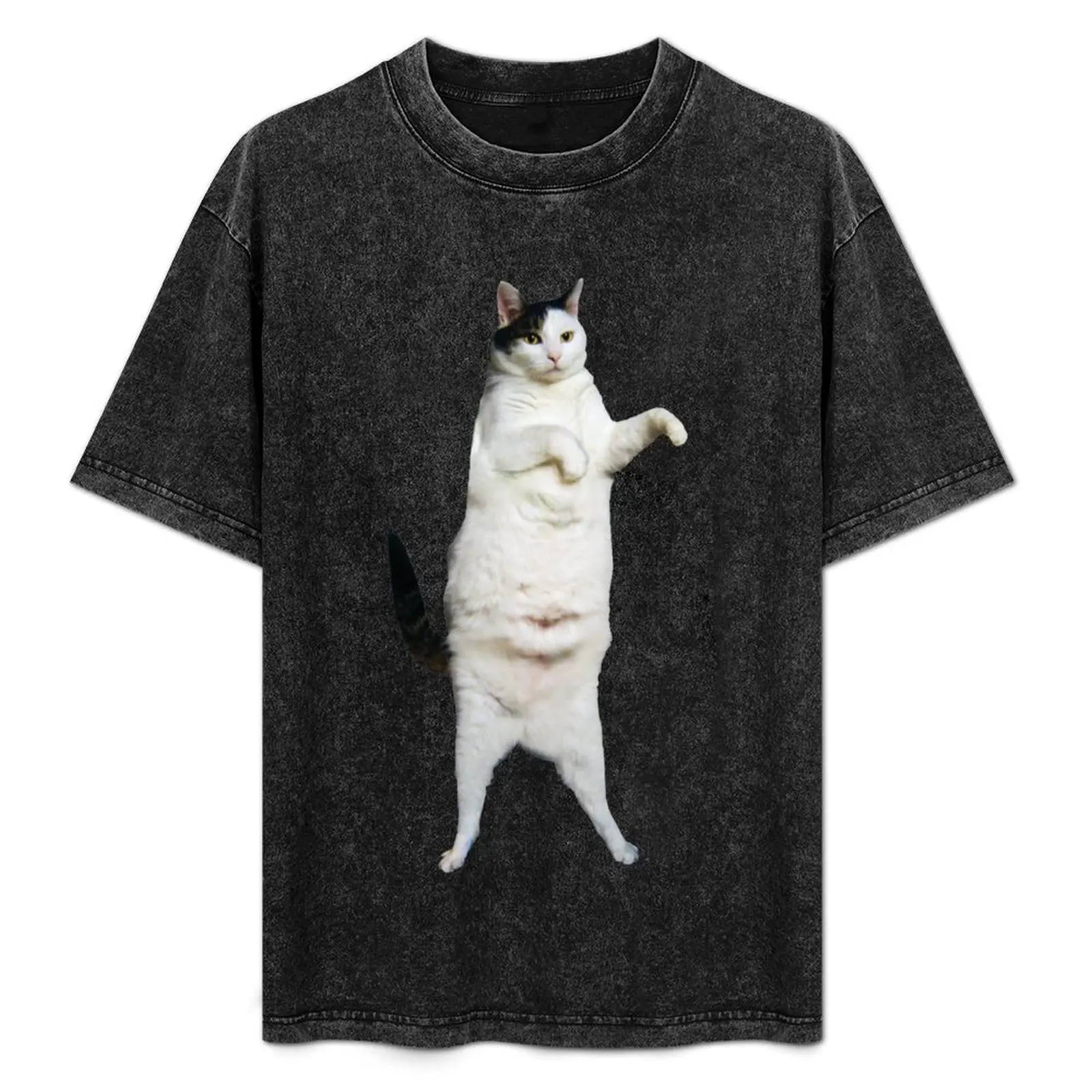 Kitty Cat Dance T-Shirt Big Size Short Sleeve Tee for Men
Kitty Cat Dance T-Shirt Big Size Short Sleeve Tee for Men