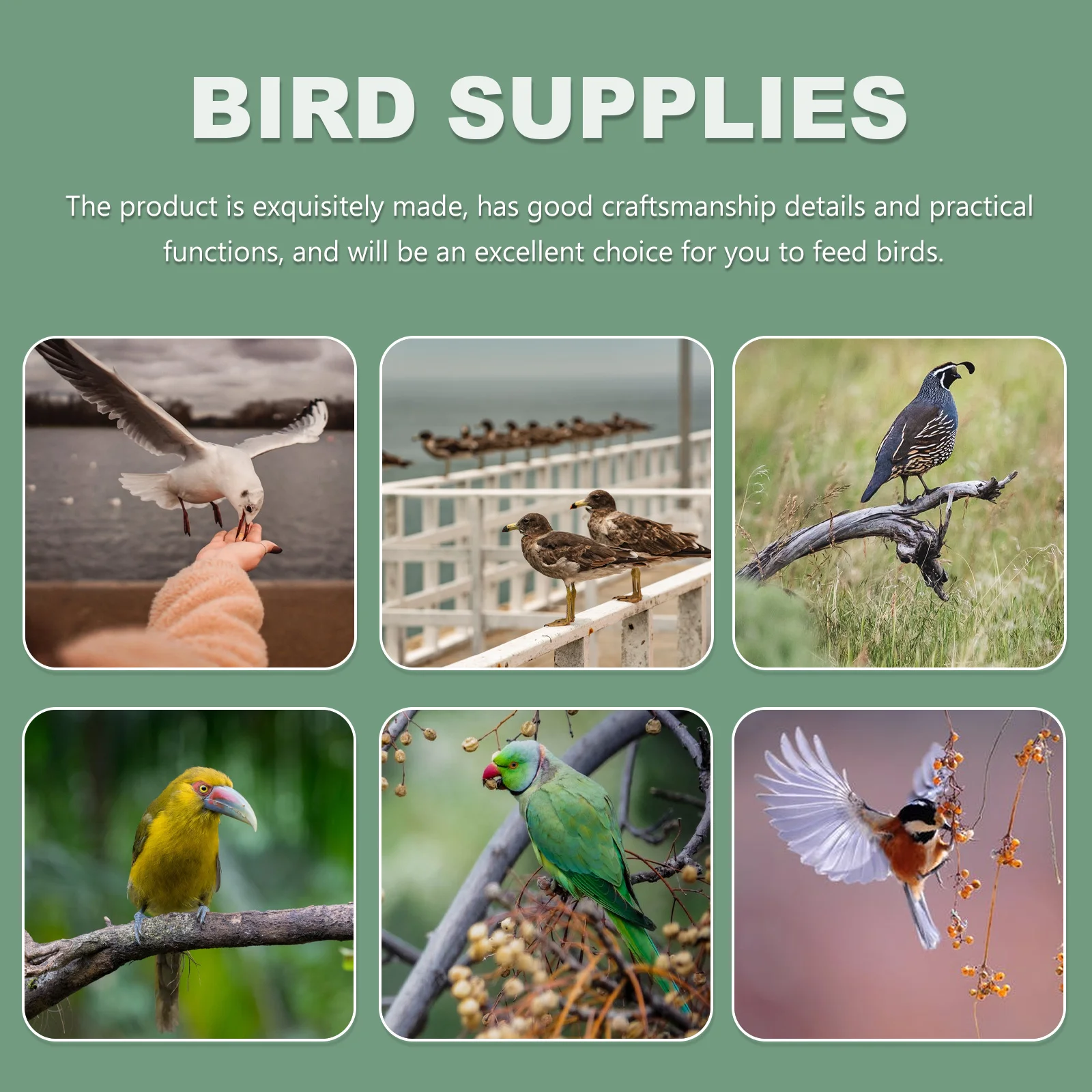 Bird Dish Replacement Cages Accessories Food Bowls Feeding Container Dishes Feeder
Bird Dish Replacement Cages Accessories Food Bowls Feeding Container Dishes Feeder