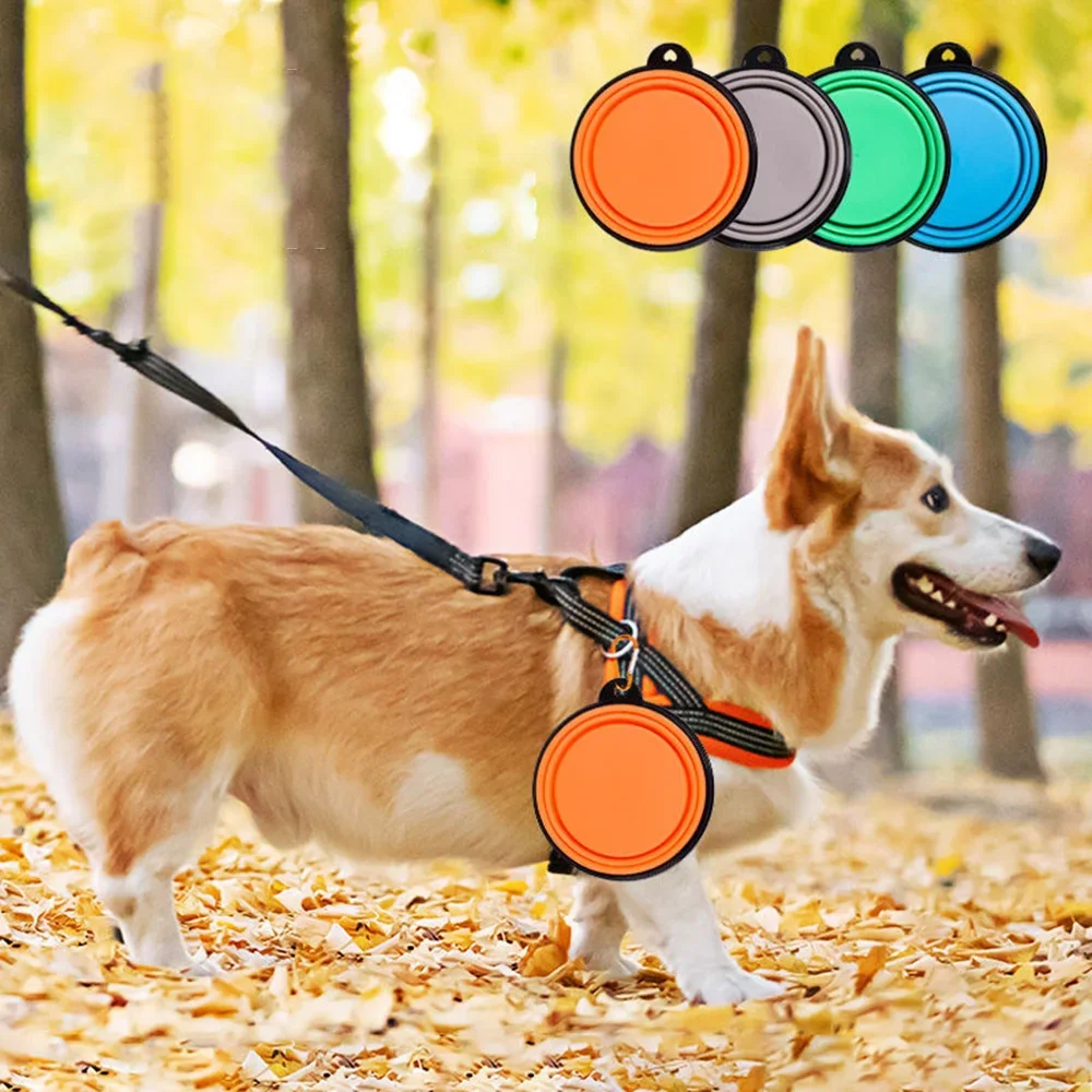 Pet Folding Silicone Bowl Collapsible Dog Cat Food Water Bowl Outdoor Portable Travel Bowl Puppy Food Container Feeder
Pet Folding Silicone Bowl Collapsible Dog Cat Food Water Bowl Outdoor Portable Travel Bowl Puppy Food Container Feeder
