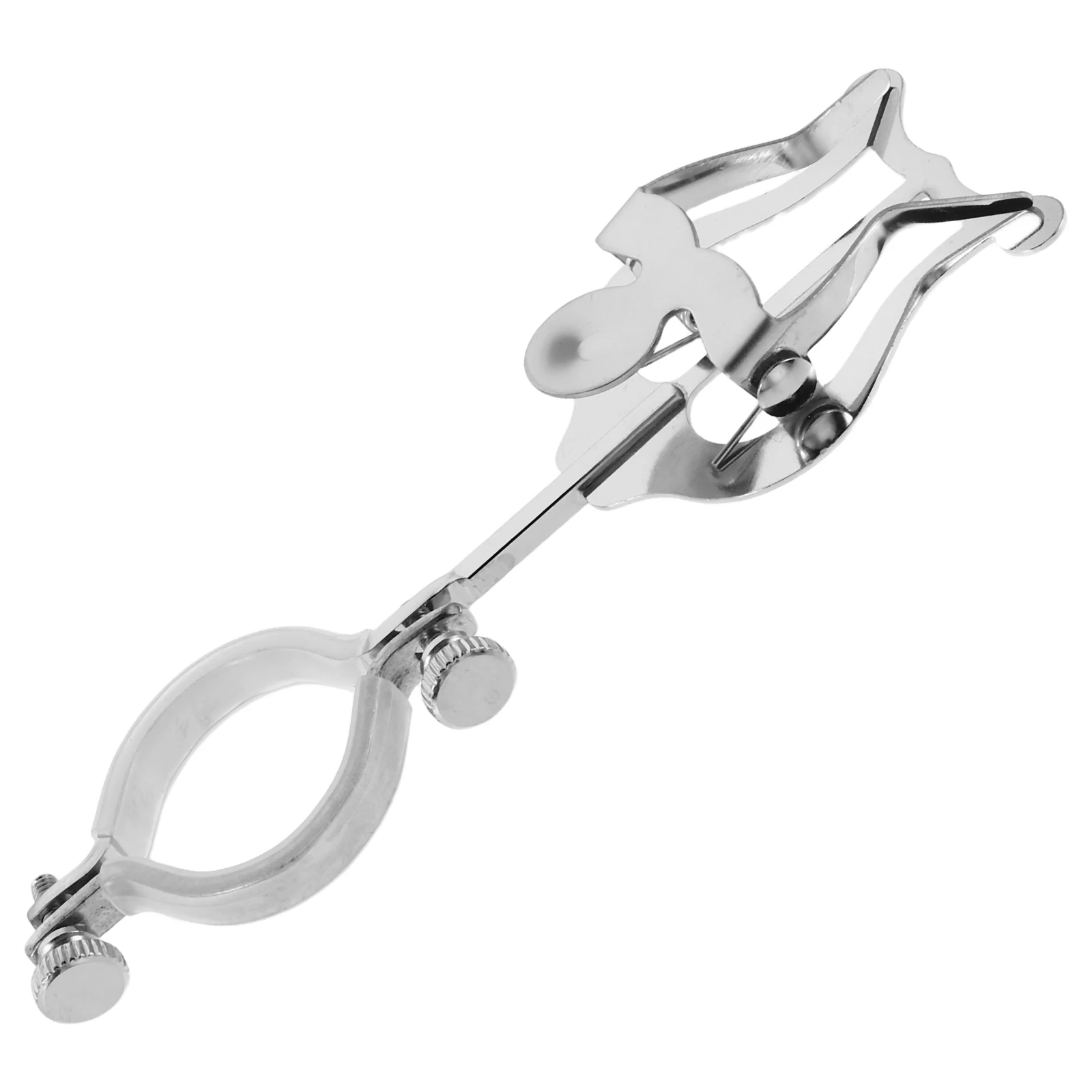 Clarinet Sheet French Horn Clip Marching Band Holder Stand Silver Lyre for Accessories
Clarinet Sheet French Horn Clip Marching Band Holder Stand Silver Lyre for Accessories