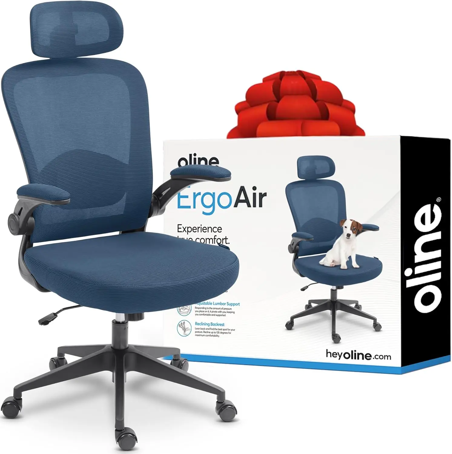 ErgoAir Ergonomic Office Chair – Adjustable Lumbar Support, Flip-Up Armrests, Mesh Computer Desk Chair, Swivel, Customized
ErgoAir Ergonomic Office Chair – Adjustable Lumbar Support, Flip-Up Armrests, Mesh Computer Desk Chair, Swivel, Customized