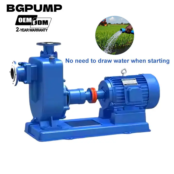 Electric Water Pump 4 Inch End Suction Centrifugal Agriculture 2" Electric Water Booster Pump for Irrigation Agricultural
Electric Water Pump 4 Inch End Suction Centrifugal Agriculture 2" Electric Water Booster Pump for Irrigation Agricultural