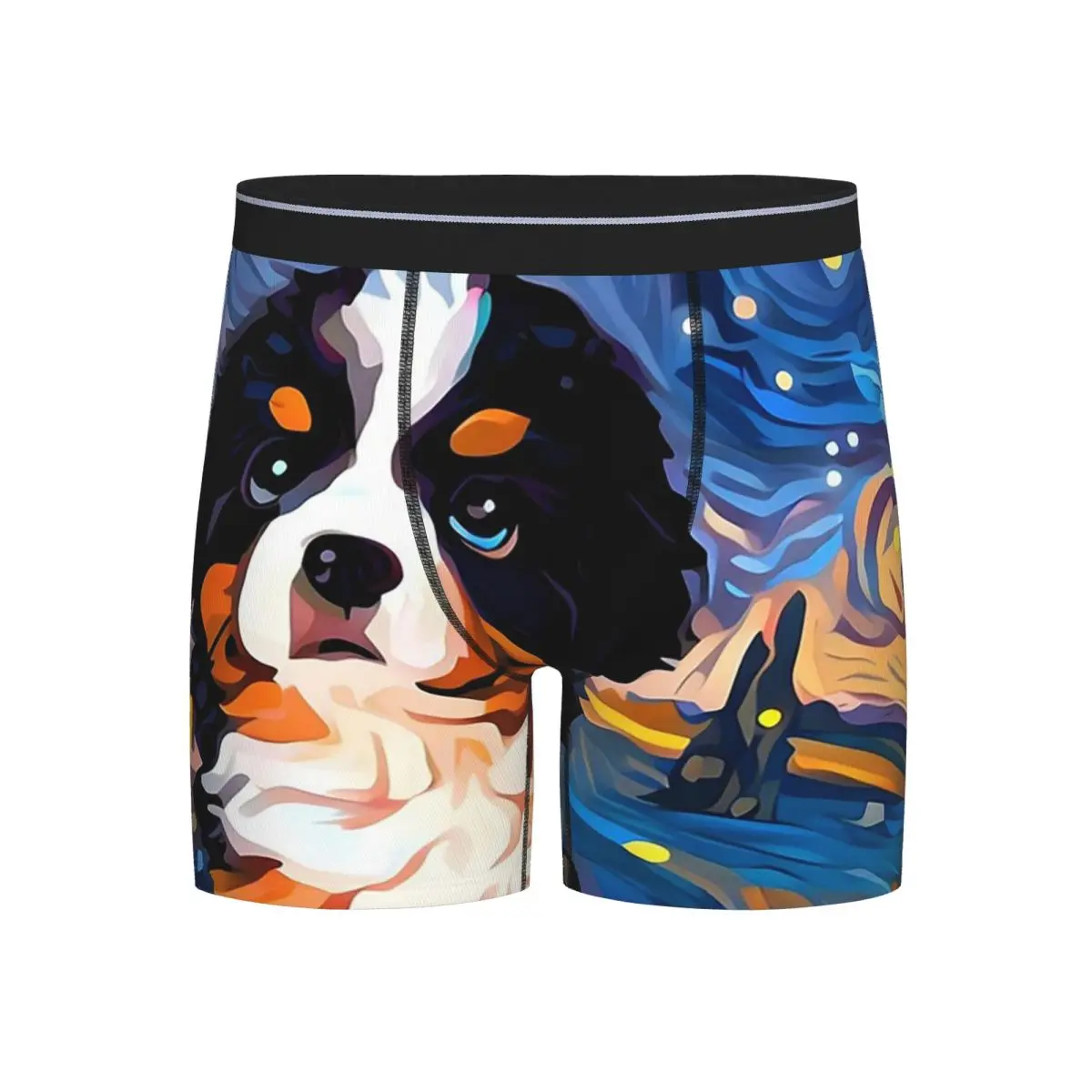 Длинные трусы-боксеры, шорты, звездная ночь, трусики для бернского зенненхунда, мужское дышащее нижнее белье для Homme, мужской подарок бойфренду
Длинные трусы-боксеры, шорты, звездная ночь, трусики для бернского зенненхунда, мужское дышащее нижнее белье для Homme, мужской подарок бойфренду