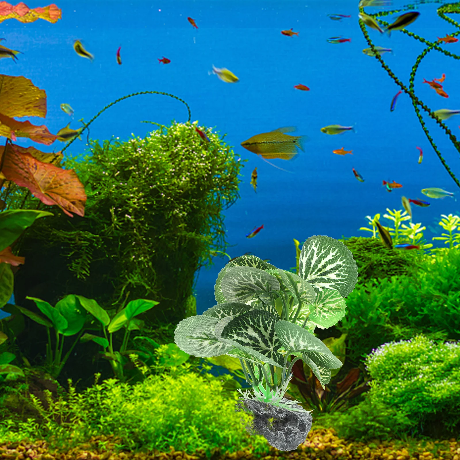 Aquarium Plants Realistic Fake Fish Tank Decor Small Compact Plastic Safe for Fresh Salt Water Fish Tank Plants 
Aquarium Plants Realistic Fake Fish Tank Decor Small Compact Plastic Safe for Fresh Salt Water Fish Tank Plants