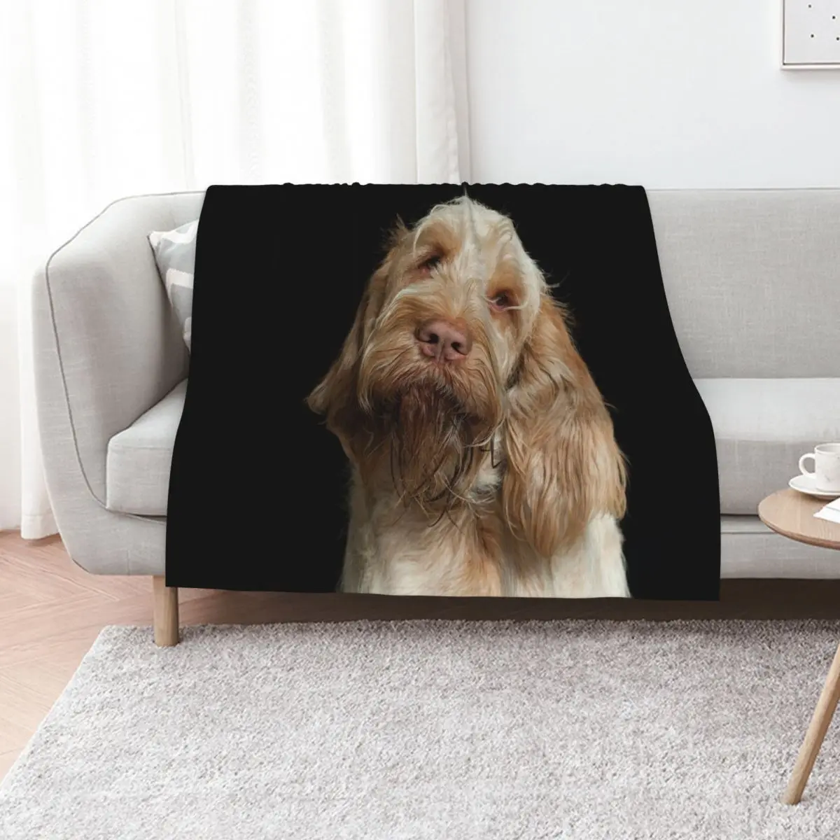 Head tilt Spinone Throw Blanket christmas decoration Designers Decorative Beds Beach Blankets
Head tilt Spinone Throw Blanket christmas decoration Designers Decorative Beds Beach Blankets