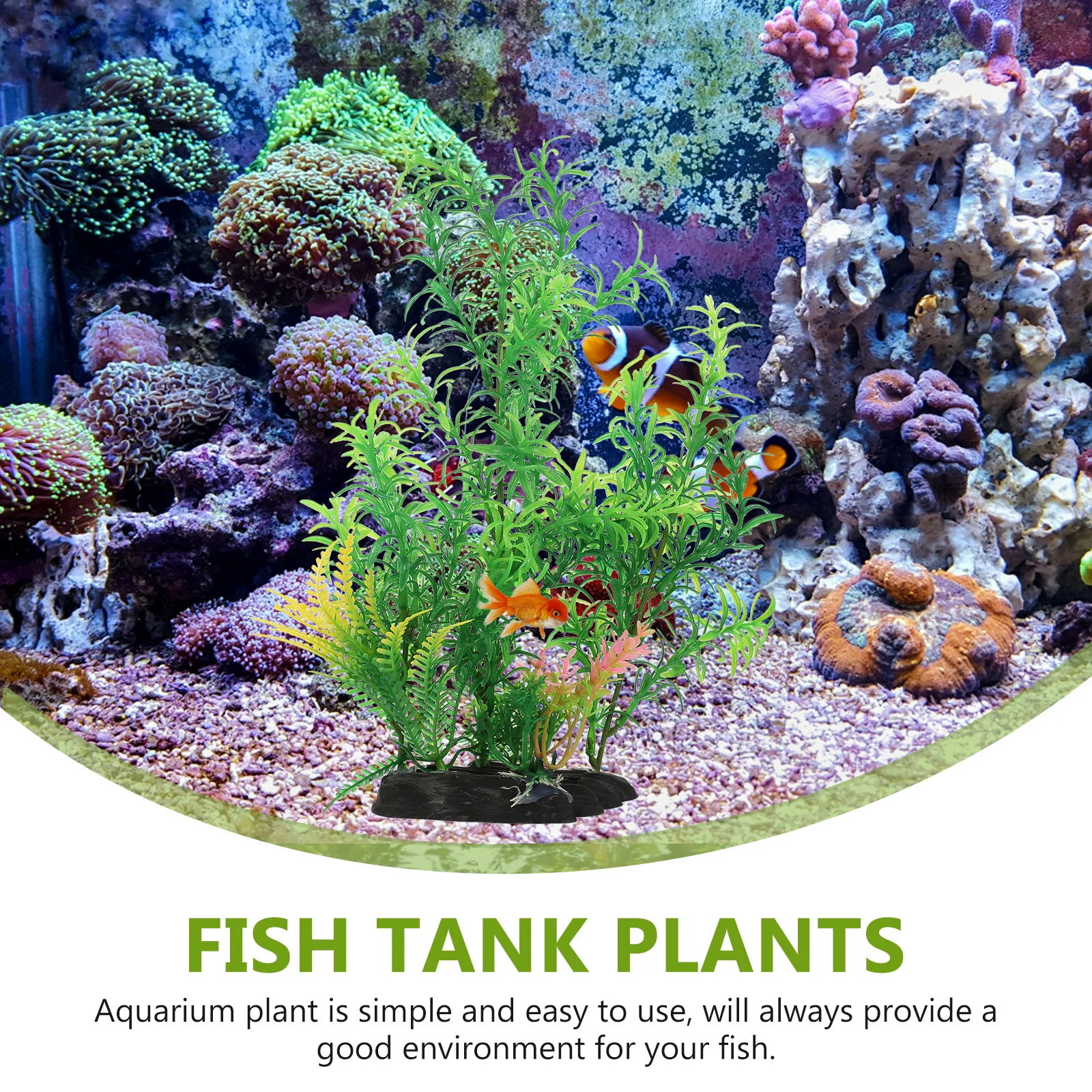 2Pcs Plastic Aquarium Plants Realistic Fish Tank Decorations for Aquatic Turtles Betta Freshwater Tanks Small Decor Natural
2Pcs Plastic Aquarium Plants Realistic Fish Tank Decorations for Aquatic Turtles Betta Freshwater Tanks Small Decor Natural
