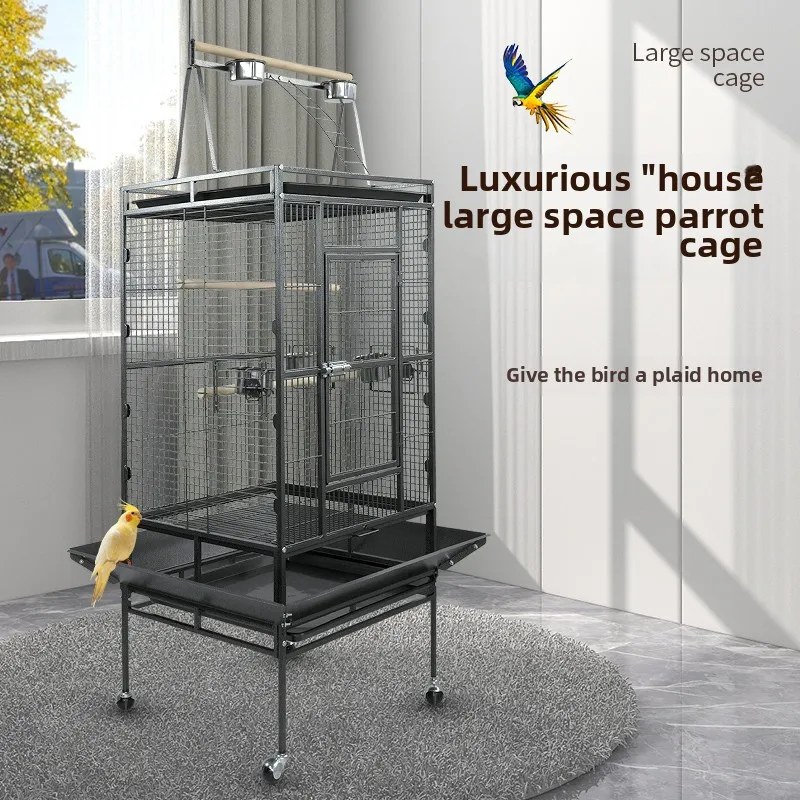 Parrot bird cage large luxury villa household splash-proof group raising starling Xuanfeng outdoor high-end ornamental breeding
Parrot bird cage large luxury villa household splash-proof group raising starling Xuanfeng outdoor high-end ornamental breeding
