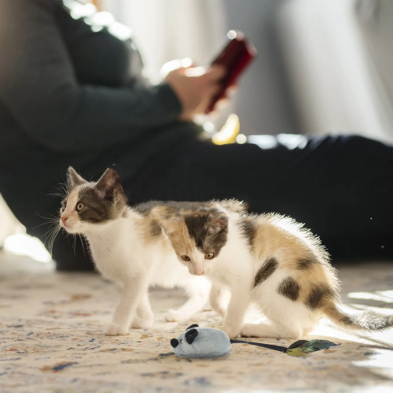 Interactive Moving Mouse Cat Plaything Stimulates Scratching Biting Instincts for Indoor Cats Preserves Furniture
Interactive Moving Mouse Cat Plaything Stimulates Scratching Biting Instincts for Indoor Cats Preserves Furniture