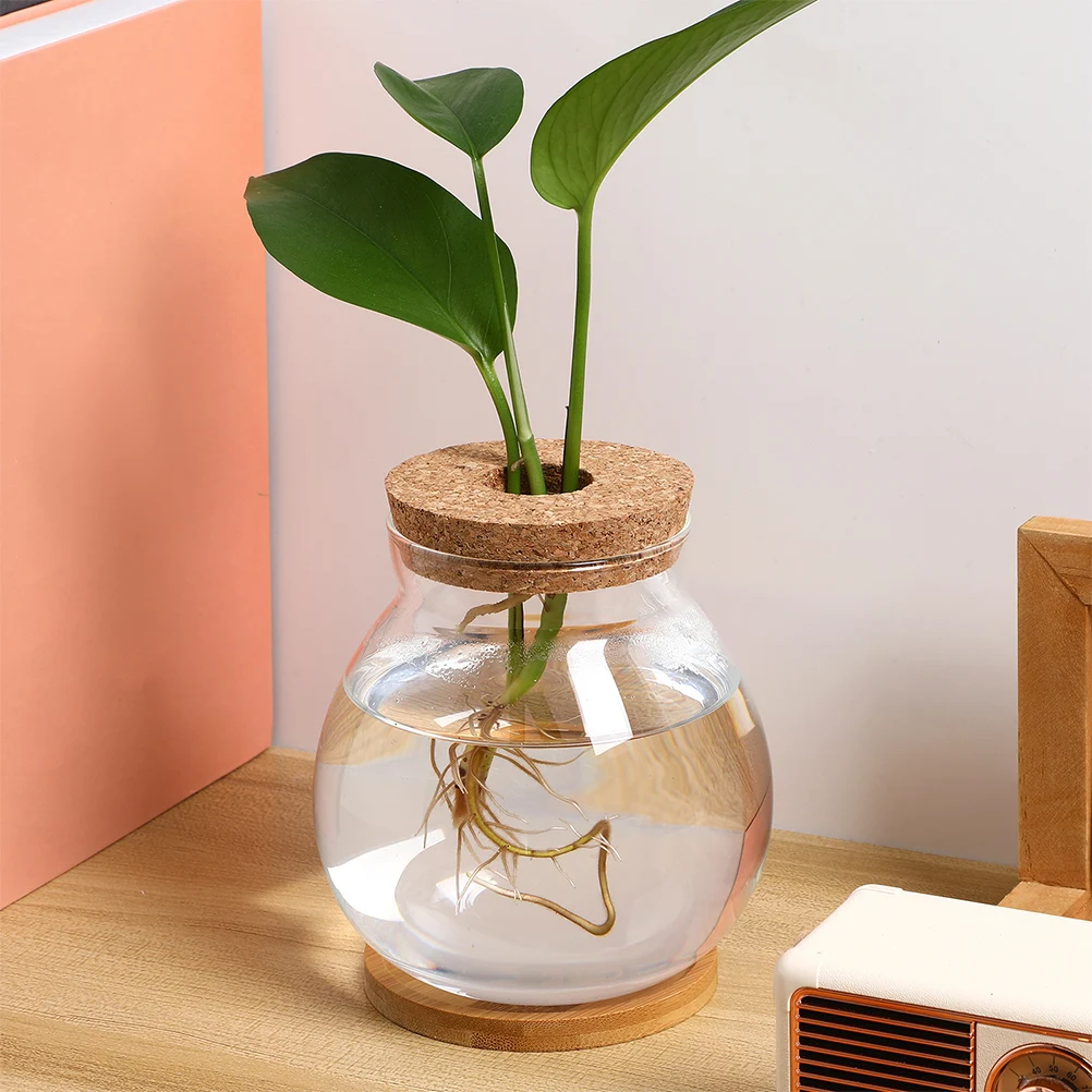 Transparent Glass Fish Tank Hydroponic Small Wooden Lid Desktop Aquarium Betta Fish Bowl Mini Office Decor Small Glass Aquarium
Transparent Glass Fish Tank Hydroponic Small Wooden Lid Desktop Aquarium Betta Fish Bowl Mini Office Decor Small Glass Aquarium
