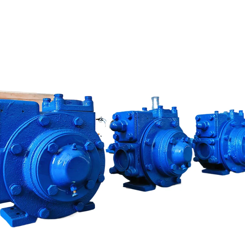 Factory Direct Sales of High-precision YB Series Rotary Vane Pumps 3 Inch Rotary Vane Pumps
Factory Direct Sales of High-precision YB Series Rotary Vane Pumps 3 Inch Rotary Vane Pumps