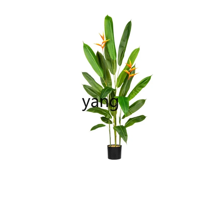 LMMSimulation Green Plant Indoor Bird of Paradise Plant Pot Bionic Slightly Luxury Decoration Ornaments
LMMSimulation Green Plant Indoor Bird of Paradise Plant Pot Bionic Slightly Luxury Decoration Ornaments