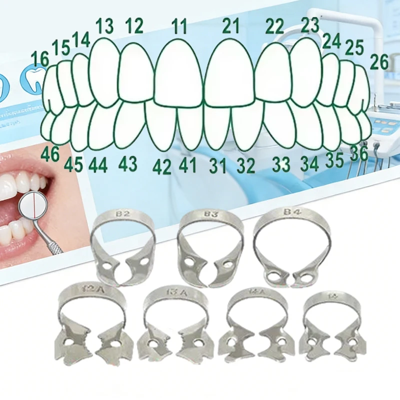 Dental Rubber Dam Clamps Stainless Steel Endodontic Restorative Barrier Clips Retainer Clamp for Dentist
Dental Rubber Dam Clamps Stainless Steel Endodontic Restorative Barrier Clips Retainer Clamp for Dentist