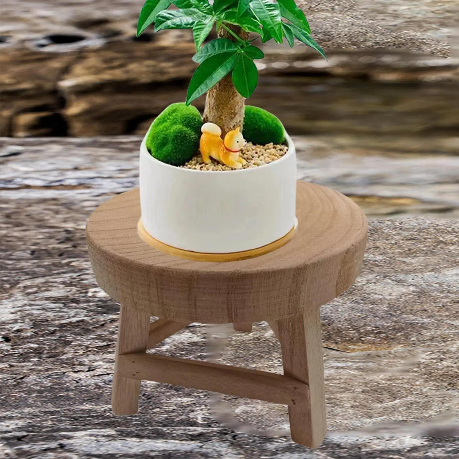 Wood Plant Stand Decorative Indoor Outdoor Flower Pot Holder Round Riser for Living Room Garden Desktop Potted Plant Patio
Wood Plant Stand Decorative Indoor Outdoor Flower Pot Holder Round Riser for Living Room Garden Desktop Potted Plant Patio