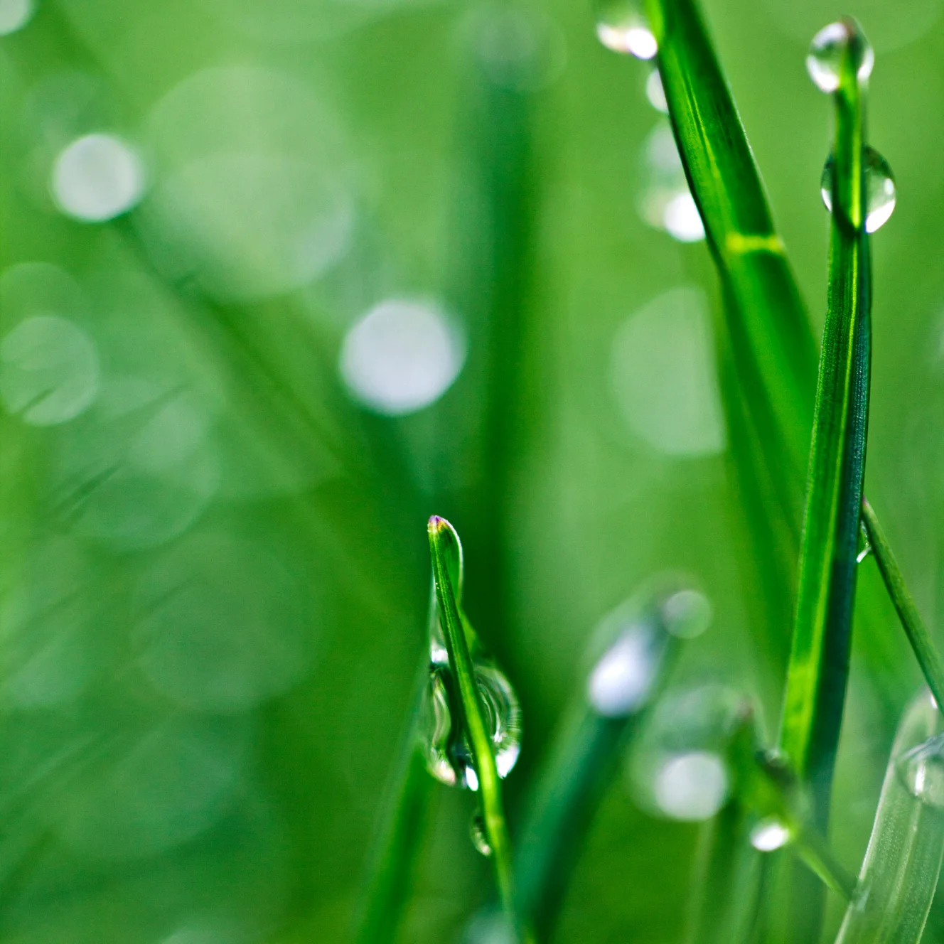 12,3 ''Android 13 для Mercedes Benz S-Class W222 2014-2017 автомобильный радиоприемник стереоприемник мультимедийный плеер Carplayt GPS-навигация
12,3 ''Android 13 для Mercedes Benz S-Class W222 2014-2017 автомобильный радиоприемник стереоприемник мультимедийный плеер Carplayt GPS-навигация