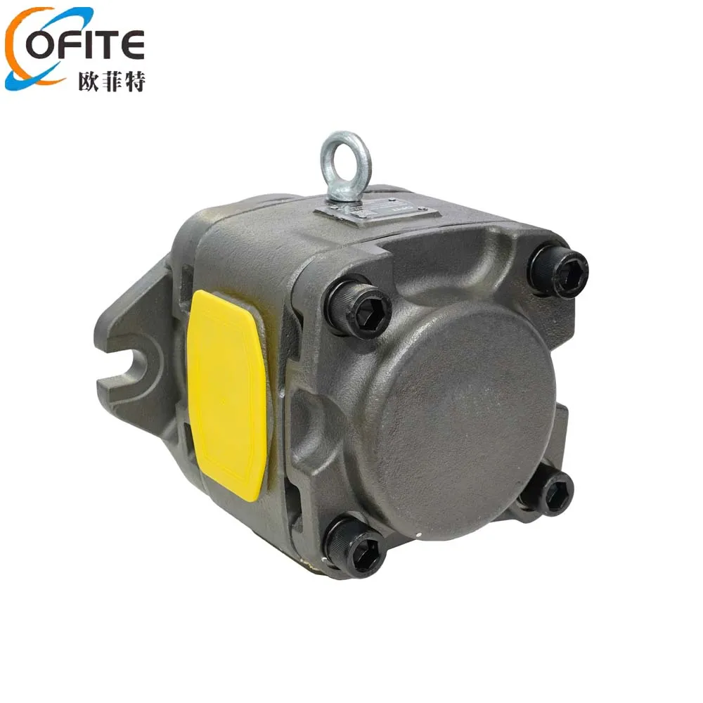 Hot Selling Sunny Internal Gear Pump HG1-32 High-Pressure Hydraulic Pump for Injection Molding Machine Bending Machine
Hot Selling Sunny Internal Gear Pump HG1-32 High-Pressure Hydraulic Pump for Injection Molding Machine Bending Machine