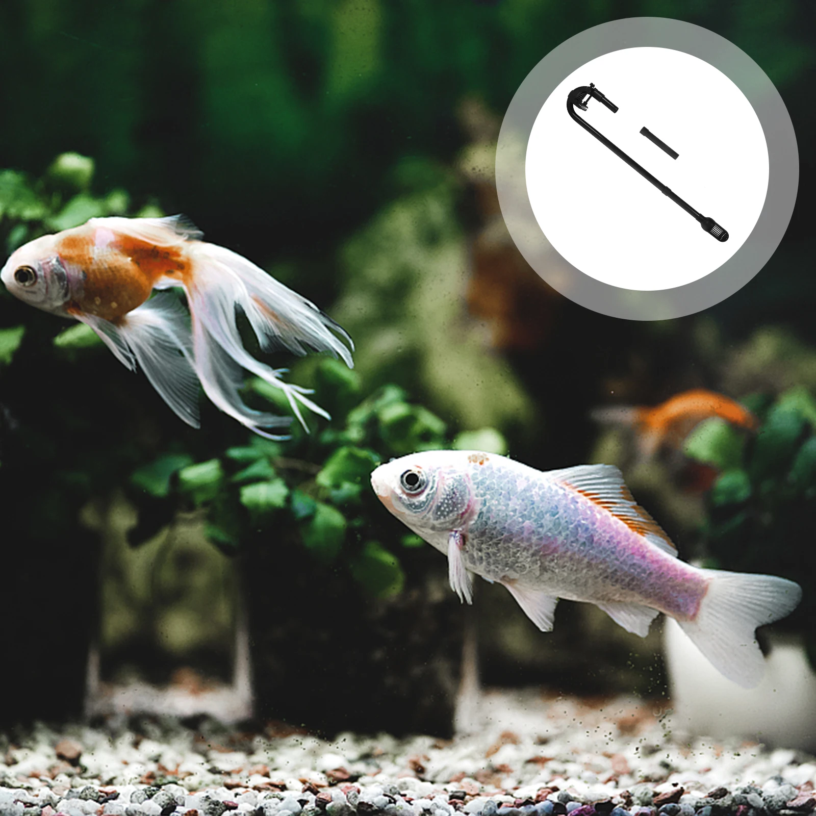 Hose Replacement Space-Saving Design Easy Installation Durable Abs Material Aquarium Supplies Water Flow Tube For Small Fish
Hose Replacement Space-Saving Design Easy Installation Durable Abs Material Aquarium Supplies Water Flow Tube For Small Fish