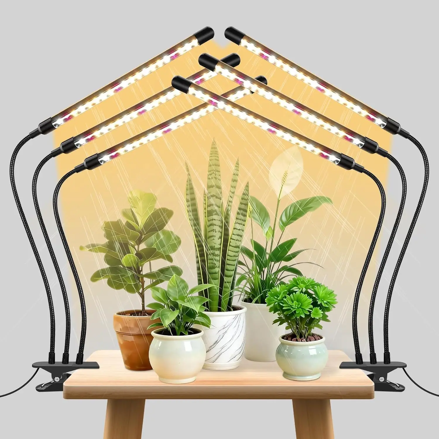 3-Head Plant Grow Lights, Full Spectrum Clip Lamps with Timer & Dimmable Brightness for Indoor Plants
3-Head Plant Grow Lights, Full Spectrum Clip Lamps with Timer & Dimmable Brightness for Indoor Plants