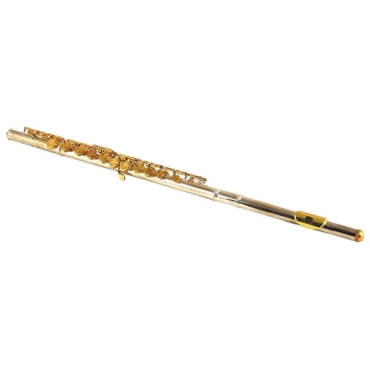 Hooqu Professional Flute Silver Plated C Key 16 Closed Holes Flute with Good Price
Hooqu Professional Flute Silver Plated C Key 16 Closed Holes Flute with Good Price