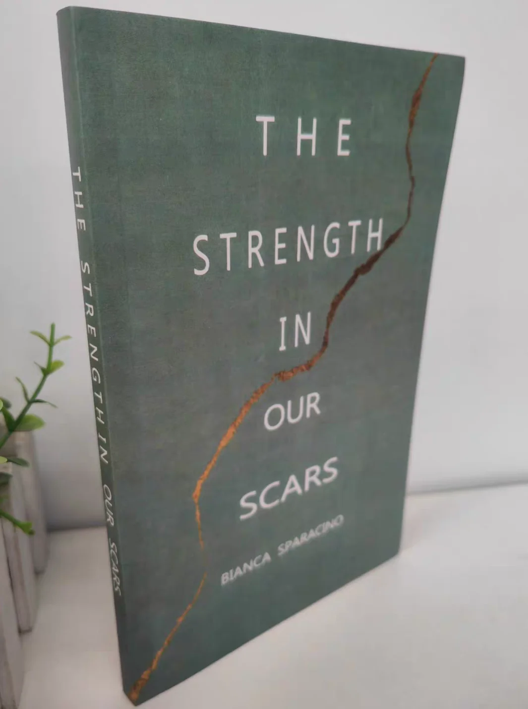 The Strength In Our Scars-bianca Sparacino
The Strength In Our Scars-bianca Sparacino