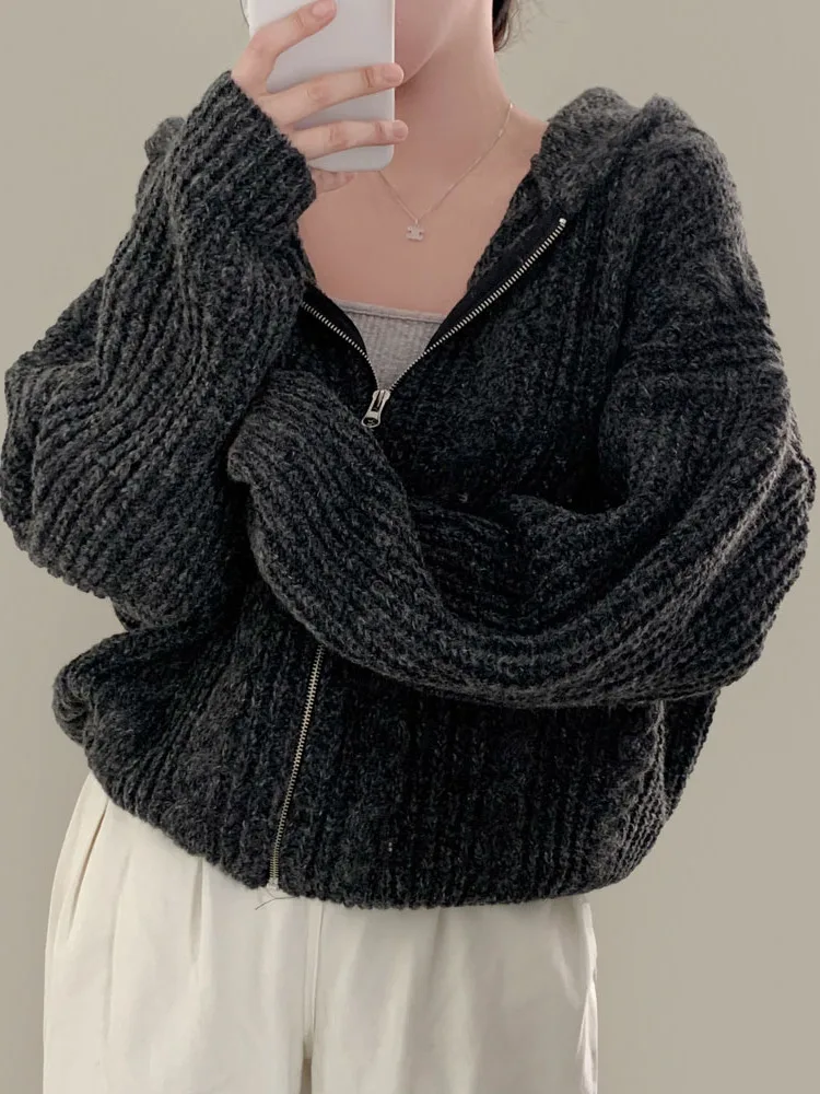Loose Knitted Sweater Korean Style Lazy Day Double Zipper Hood Long Sleeve Twist Yarn Casual Outerwear Top for Women
Loose Knitted Sweater Korean Style Lazy Day Double Zipper Hood Long Sleeve Twist Yarn Casual Outerwear Top for Women