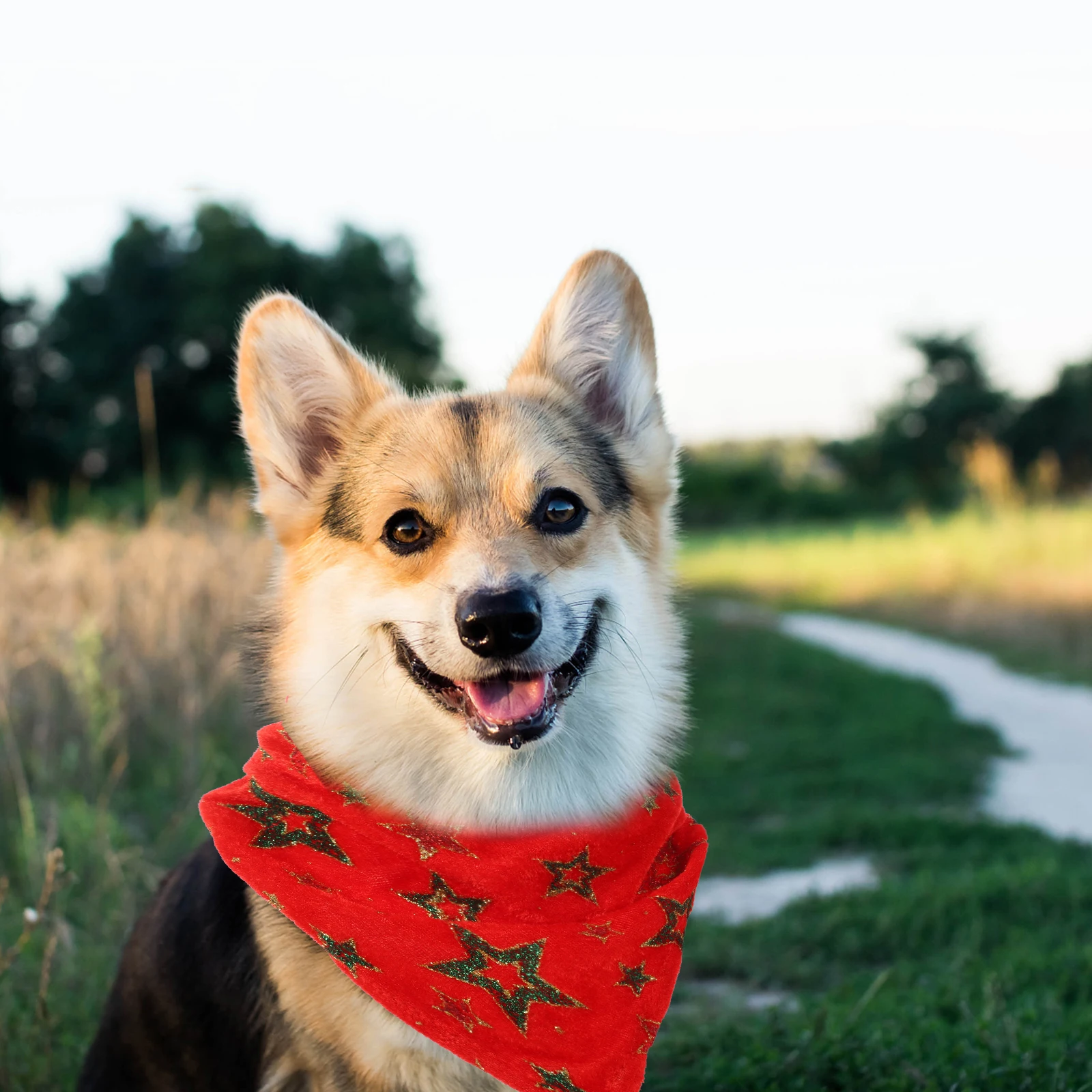 Dog Scarf Christmas Themed Pet Bandana Portable Machine Washable Soft Comfortable Puppy Bandana Xmas Dog Bandanas
Dog Scarf Christmas Themed Pet Bandana Portable Machine Washable Soft Comfortable Puppy Bandana Xmas Dog Bandanas