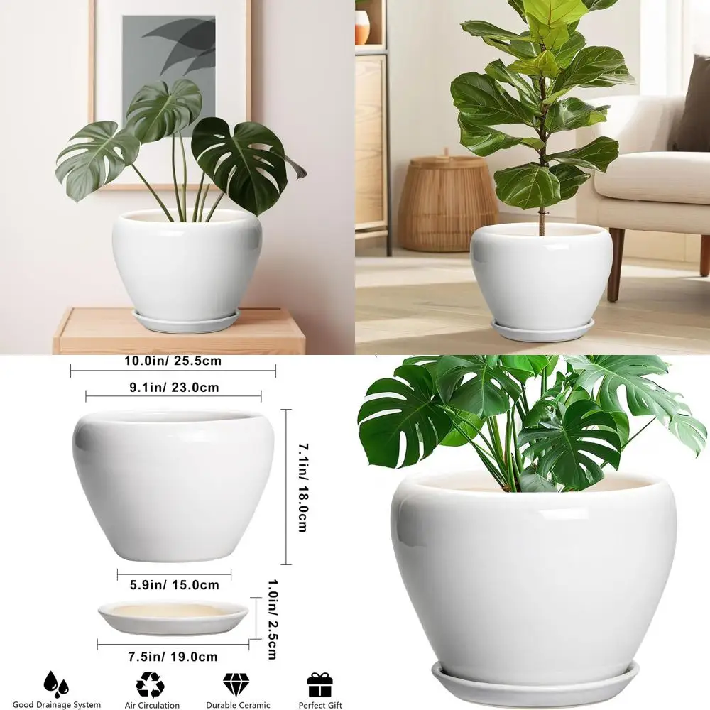 10-дюймовая белая керамическая кашпо с дренажем и блюдцем, современный круглый горшок для комнатных растений, идеальный подарок на новоселье, домашний декор
10-дюймовая белая керамическая кашпо с дренажем и блюдцем, современный круглый горшок для комнатных растений, идеальный подарок на новоселье, домашний декор