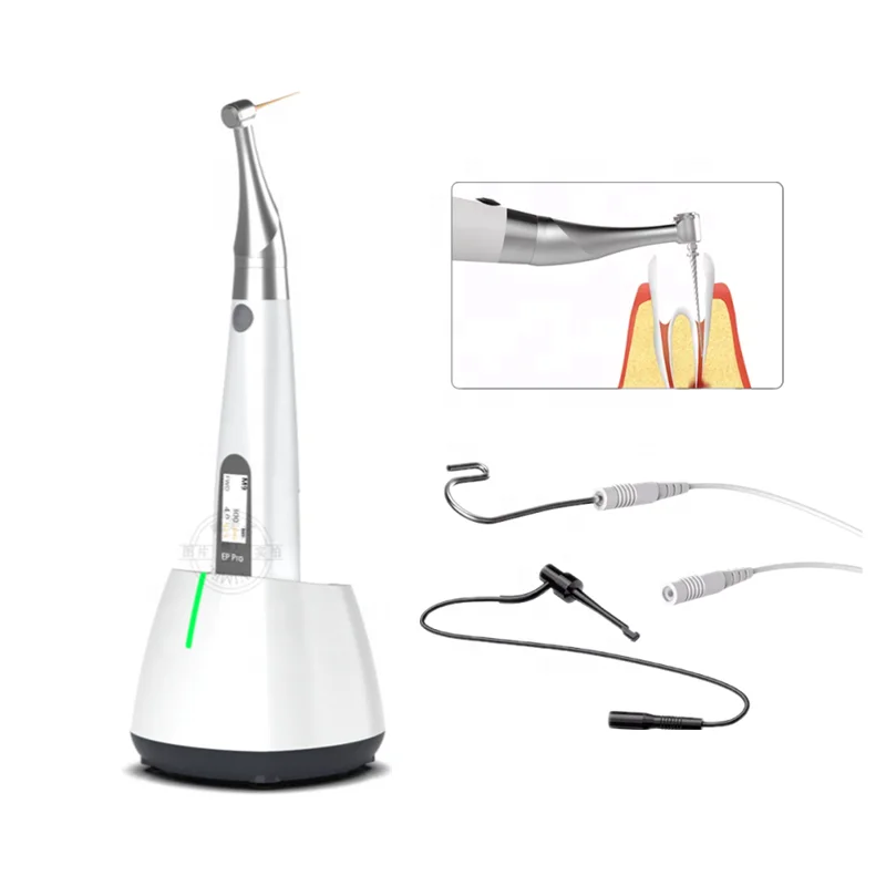 Усовершенствованные стоматологические инструменты EP-Pro, беспроводной эндодвигатель соотношением 6:1 и вершивым локатором, бесщеточное эндодонтическое вращающееся оборудование
Усовершенствованные стоматологические инструменты EP-Pro, беспроводной эндодвигатель соотношением 6:1 и вершивым локатором, бесщеточное эндодонтическое вращающееся оборудование