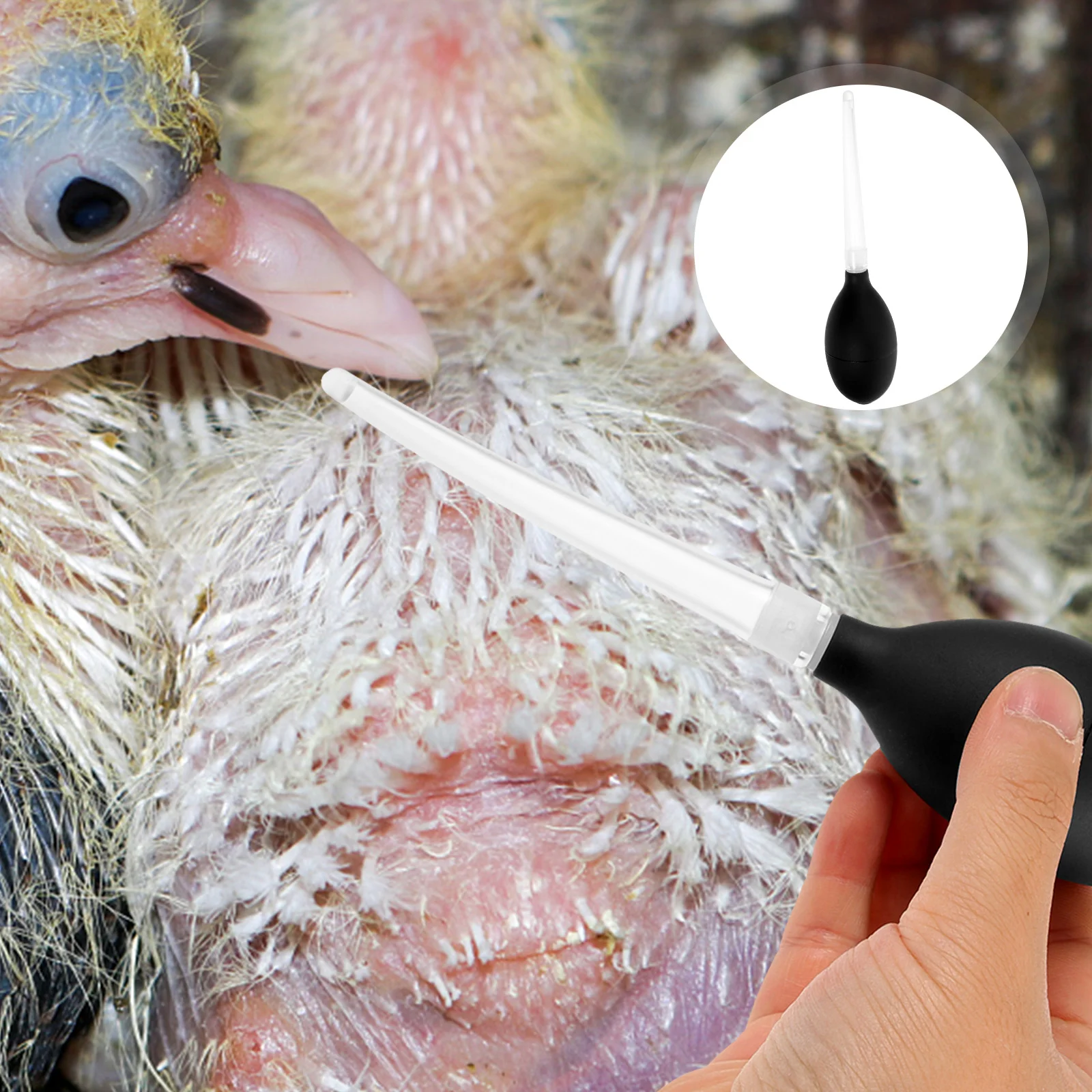 Pigeon Rehydration Device Pacifier for Squab Weaning Feeder Liquid Nursing Dropper Portable Pet Pigeon Supplies
Pigeon Rehydration Device Pacifier for Squab Weaning Feeder Liquid Nursing Dropper Portable Pet Pigeon Supplies