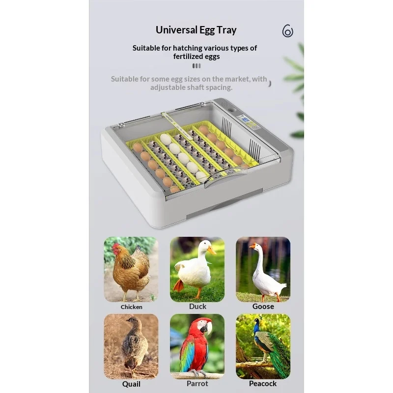 36 chicks Automatic incubation equipment Incubator Rutin chicken incubator
36 chicks Automatic incubation equipment Incubator Rutin chicken incubator