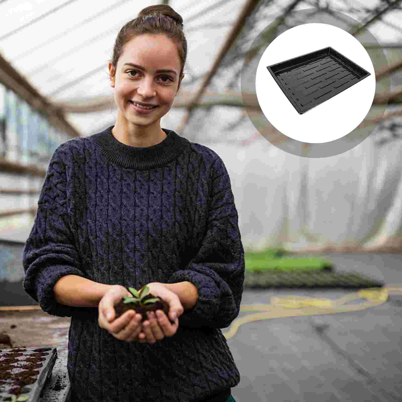 5 Pcs Wheatgrass Cultivation Pot Holder Succulent Planters Plastic Greenhouse Growing Tray
5 Pcs Wheatgrass Cultivation Pot Holder Succulent Planters Plastic Greenhouse Growing Tray