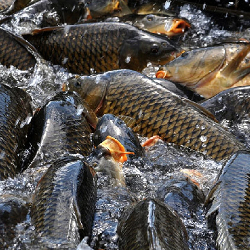 Flavour FishingBait Additive Fishing Baits Fresh Water Carps Outdoor Accessories Quickly Attract Baits Additive
Flavour FishingBait Additive Fishing Baits Fresh Water Carps Outdoor Accessories Quickly Attract Baits Additive
