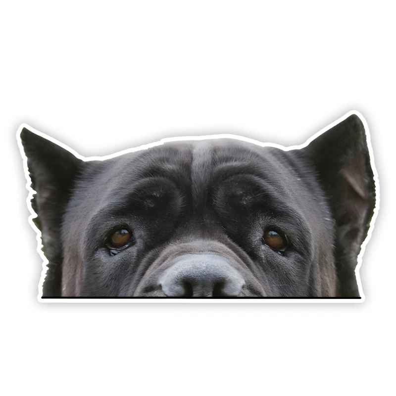 DK306# Black Cane Corso Car Stickers Scratch Covering Self-Adhesive Waterproof Decal Motorcycle Decorative Accessories
DK306# Black Cane Corso Car Stickers Scratch Covering Self-Adhesive Waterproof Decal Motorcycle Decorative Accessories