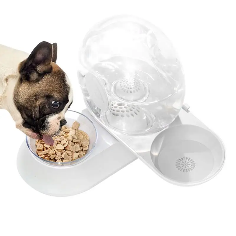 Snail Pet Water Dispenser Cat Feeder Water Bowl Dispenser Automatic Snail Shape Drinking Fountain Cat Feeder Water Bowl
Snail Pet Water Dispenser Cat Feeder Water Bowl Dispenser Automatic Snail Shape Drinking Fountain Cat Feeder Water Bowl