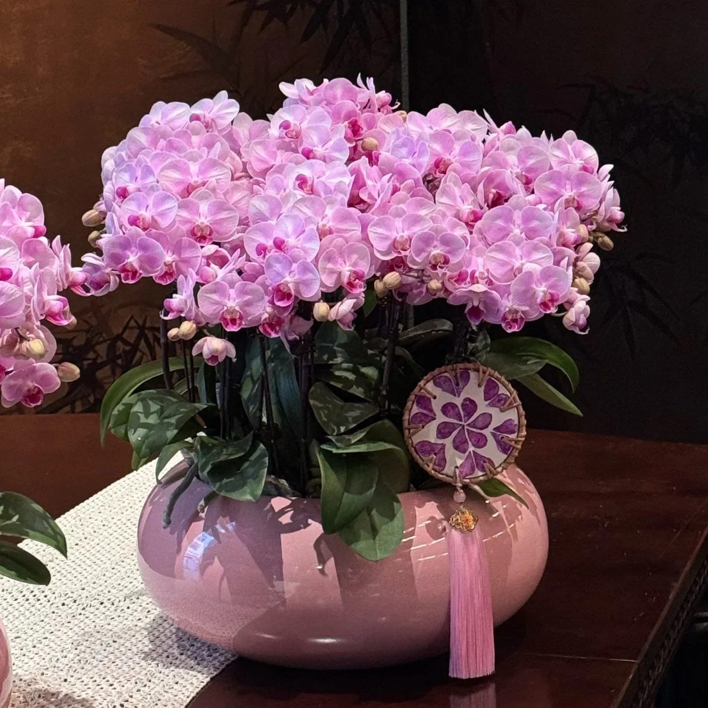 CL extra large Phalaenopsis flower pot light luxury design creative personality flower device desktop with holes
CL extra large Phalaenopsis flower pot light luxury design creative personality flower device desktop with holes