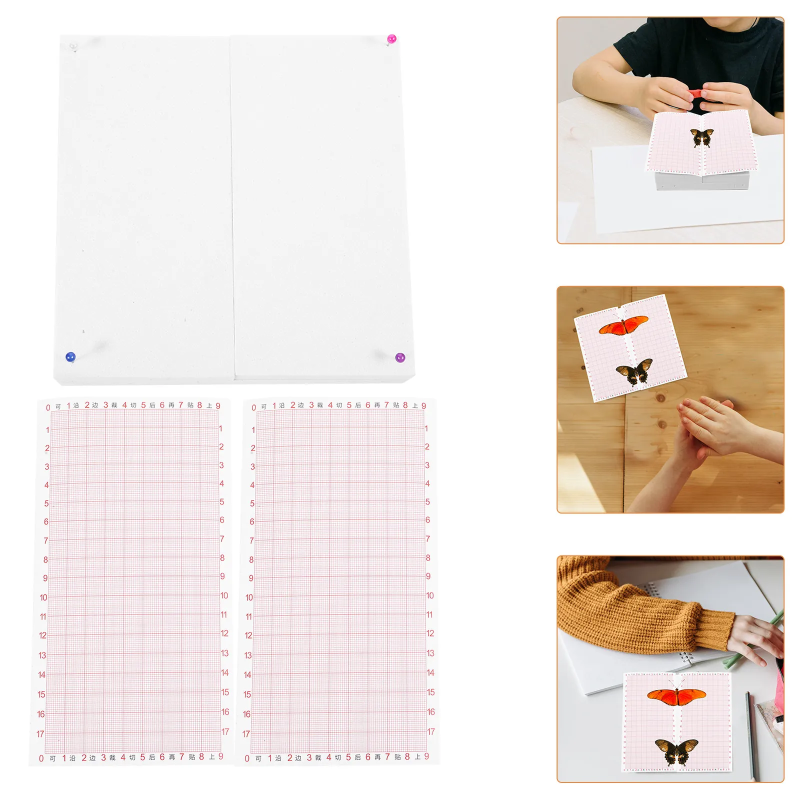 Adjustable Insect Specimen Board Eva Material Portable Lightweight Spreading Board for Butterfly Wings Drying and Insect Pinning
Adjustable Insect Specimen Board Eva Material Portable Lightweight Spreading Board for Butterfly Wings Drying and Insect Pinning