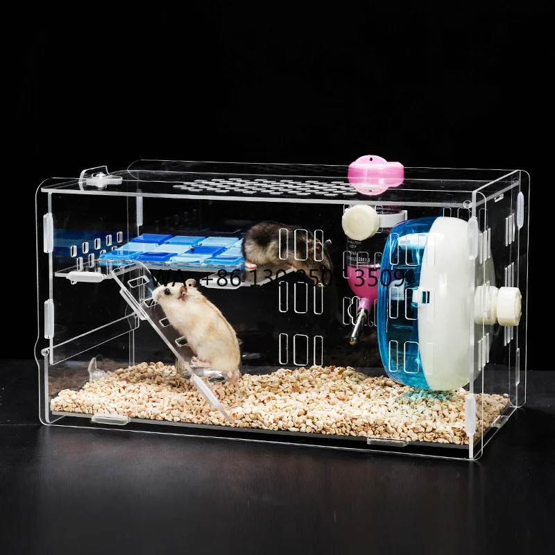 Acrylic Hamster Cage 2-Layer Small Pet House for Dwarf Hamsters Small Pet House Hamster Cage Small Animal Cage With Accessories
Acrylic Hamster Cage 2-Layer Small Pet House for Dwarf Hamsters Small Pet House Hamster Cage Small Animal Cage With Accessories