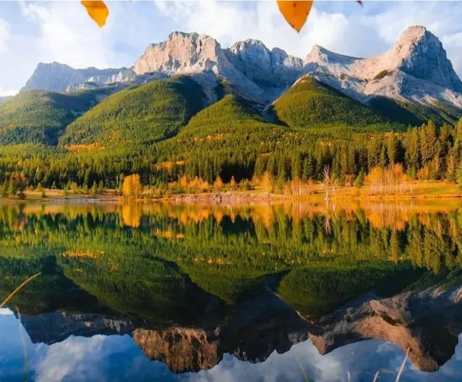 2 шт. X-CLASS 1308 1310 3-лопастной пропеллер, углеродный нейлон/нейлон из стекловолокна для FPV DIY Drone, высокопроизводительный прочный
2 шт. X-CLASS 1308 1310 3-лопастной пропеллер, углеродный нейлон/нейлон из стекловолокна для FPV DIY Drone, высокопроизводительный прочный