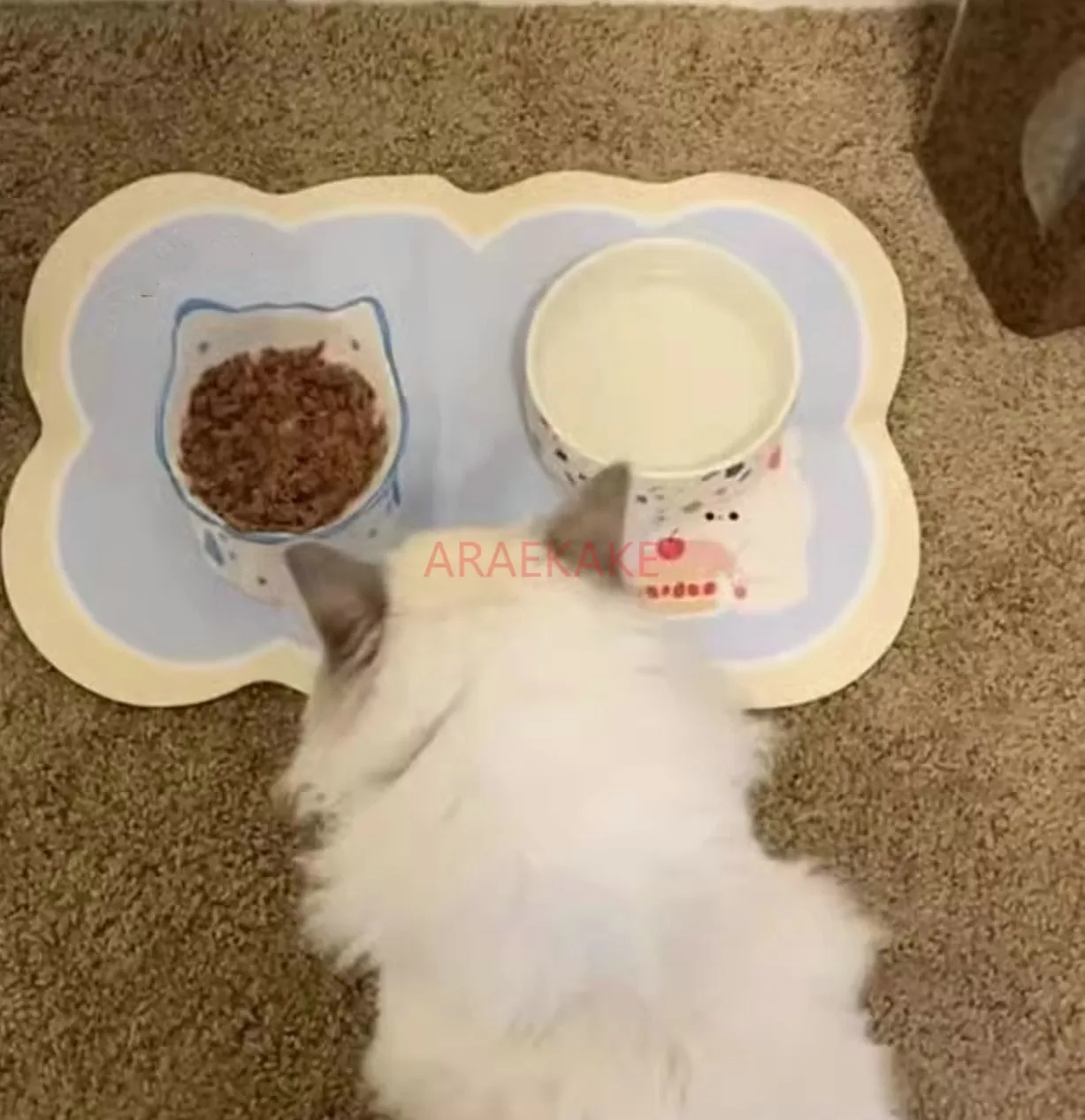 Dog eating bowl, dedicated meal mat, cat mat, bathroom diatomaceous earth floor mat, cat feeding bowl mat, cute
Dog eating bowl, dedicated meal mat, cat mat, bathroom diatomaceous earth floor mat, cat feeding bowl mat, cute