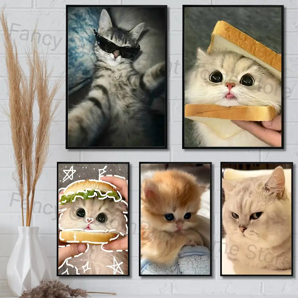 Cute Cat Memes Meowl Poster HD Art Sticky Wall Waterproof Home Living Room Bedroom Bar Aesthetic Decoration
Cute Cat Memes Meowl Poster HD Art Sticky Wall Waterproof Home Living Room Bedroom Bar Aesthetic Decoration