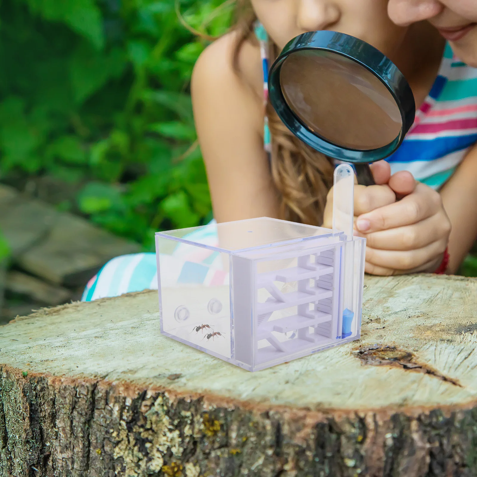 Ants Castle Acrylic Ant Nest Science Learning Kit Educational Habitat Live Colony Observation for Kids Ants Farming Castle 
Ants Castle Acrylic Ant Nest Science Learning Kit Educational Habitat Live Colony Observation for Kids Ants Farming Castle