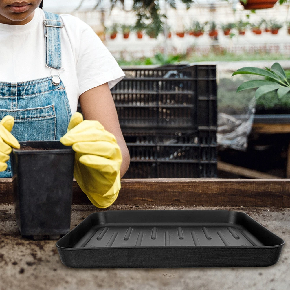 2 Pcs Shoe Tray Boot Indoor Outdoor Pet Feeding Mat Plastic Entryway Trays Drying Home
2 Pcs Shoe Tray Boot Indoor Outdoor Pet Feeding Mat Plastic Entryway Trays Drying Home