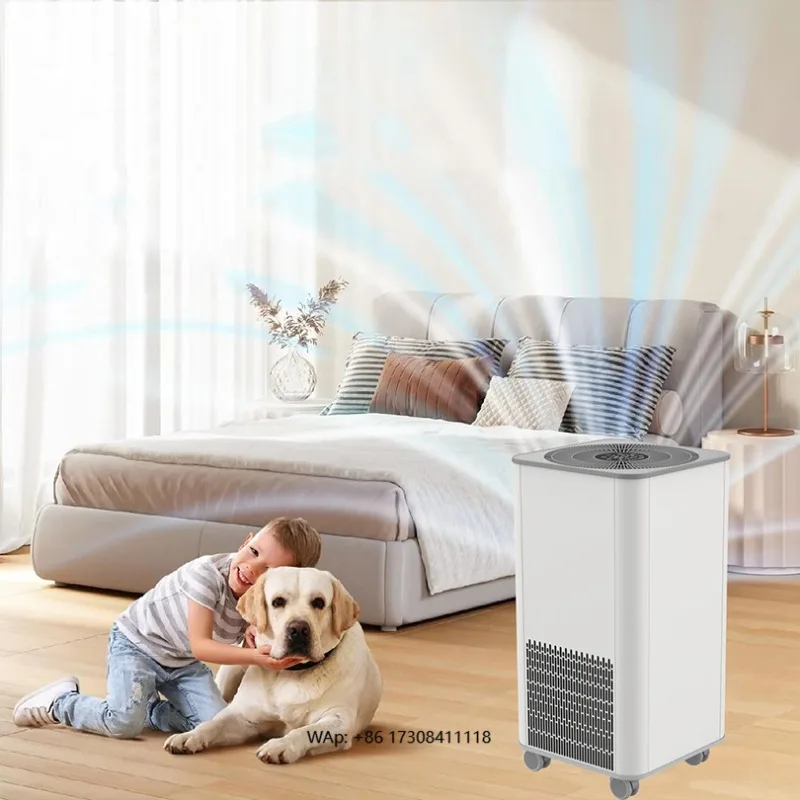 Больничный современный дезодорант, высококачественный очиститель для домашних животных, большой домашний дезодорант, очиститель воздуха, удаление запахов, смерти для семейного магазина домашних животных
Больничный современный дезодорант, высококачественный очиститель для домашних животных, большой домашний дезодорант, очиститель воздуха, удаление запахов, смерти для семейного магазина домашних животных