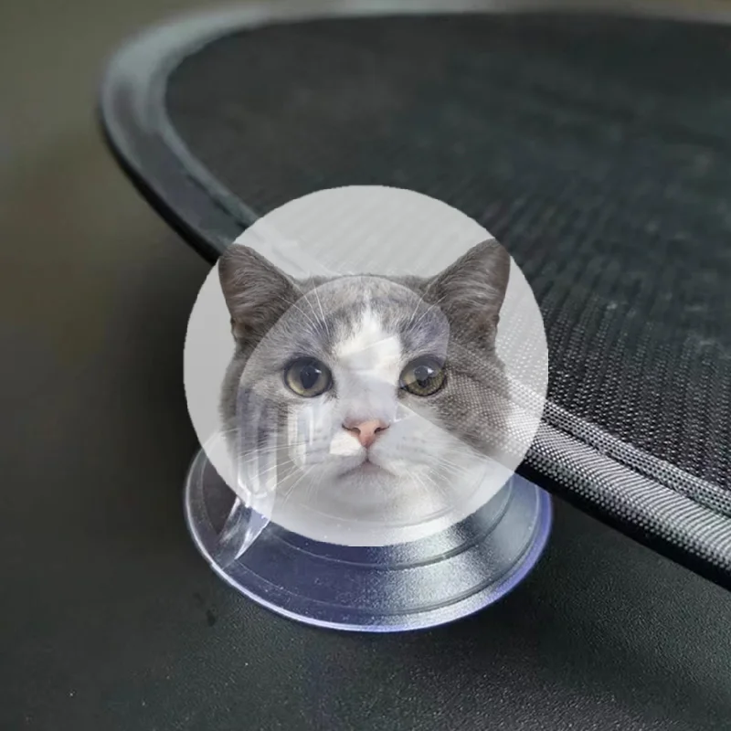 High quality10 Pcs Suction Cup Car Sunshade Car With Vacuum Strong Transparent Glass Suction
High quality10 Pcs Suction Cup Car Sunshade Car With Vacuum Strong Transparent Glass Suction